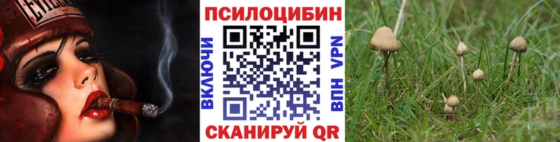 Псилоцибиновые грибы MAGIC MUSHROOMS  ссылка на мегу ТОР  Верхняя Пышма 