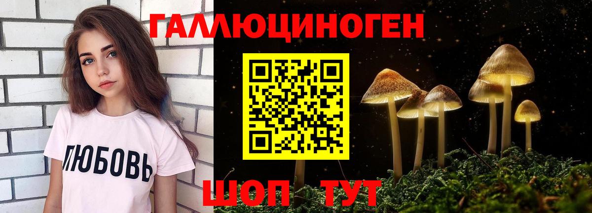 Верхняя Пышма  Галлюциногенные грибы GOLDEN TEACHER  Вход с VPN  Псилоцибиновые грибы прущие грибы 